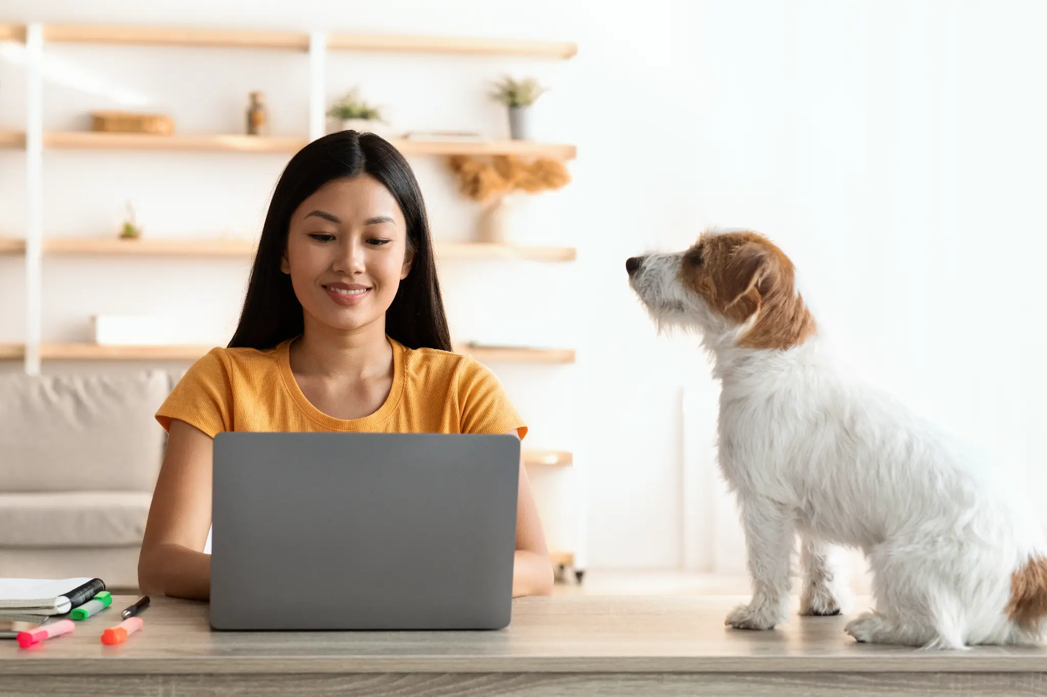 Woman shopping online with her dog beside her.